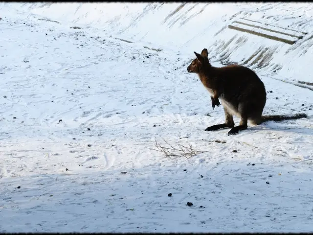 Investigation Launched Over Nauru's Commercial Agreement with Chinese Corporation