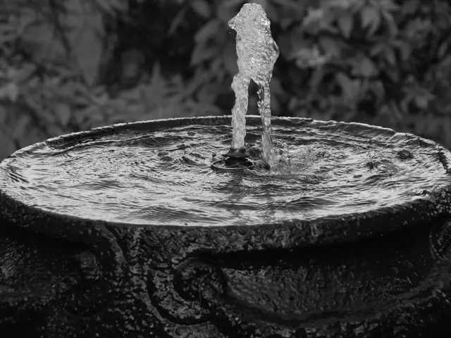 Roses will be temporarily unavailable in the garden, with service resumption scheduled for...