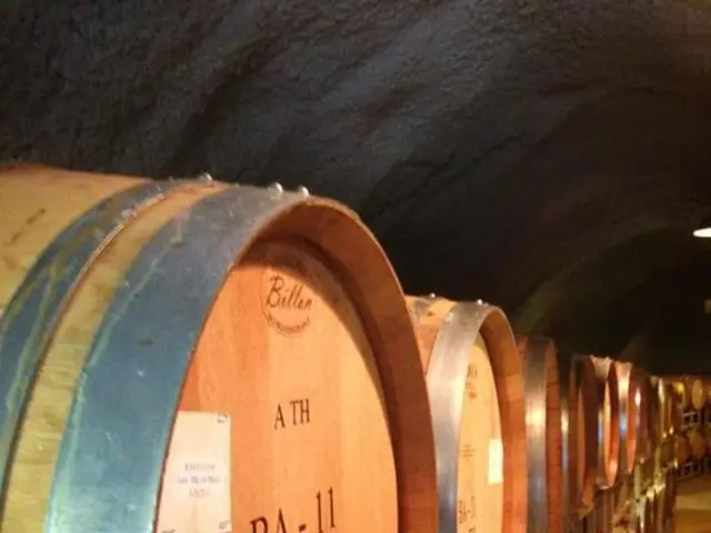 Potential Crisis Ahead: Devastating Effects if Russian Oil is Prohibited, Warns Moscow