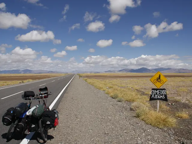 Top-Performing Bike Pannier Racks and Bags of 2025: Reliable, High-Capacity Models Given a Rigorous...