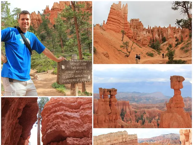 Unveiled: "Black Book" illuminates Germany's at-risk historic landmarks