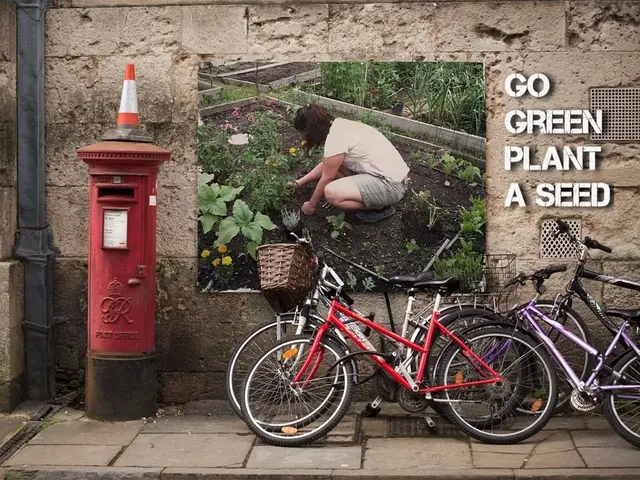 Professional cyclists should also undergo periodic testing, as motor racing drivers do.