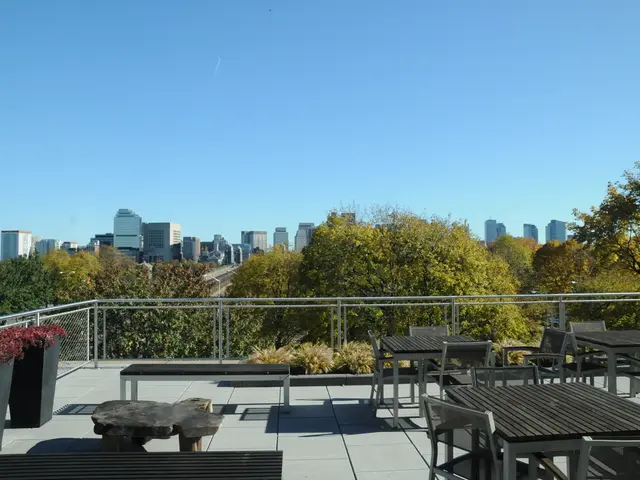 Art leader's title: "Elvis," melancholic replica