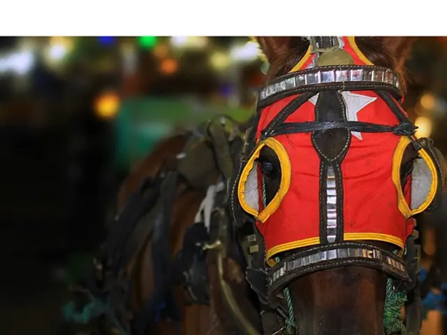 Unknown purchaser of Katie Price's imposingly named estate, valued at £1.1 million, unveiled...