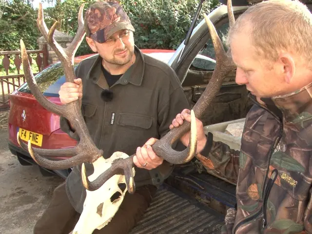 Naumburg's Prosecutor General's Office has filed charges against you, accusing you of the assault...