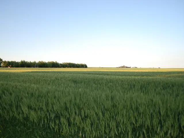 Next week expected to bring wetter and windier weather conditions due to the lingering effects of...