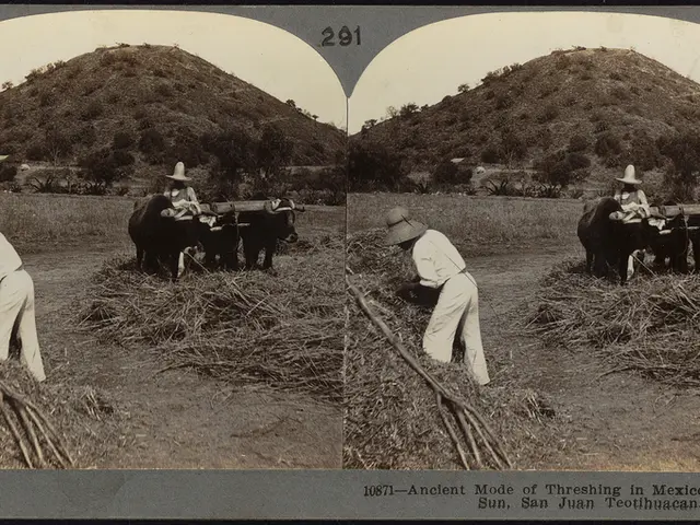 "Heather Humphreys' absence at Virginia Show sparked forgiveness amidst tough competition among...