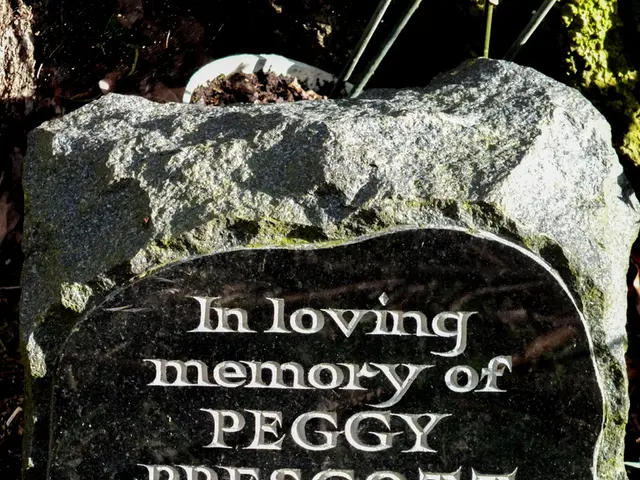 Commission identifies 137 individuals in alleged plunder of Sada Pathor