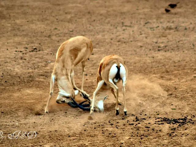Unveiled Hints and Solution for Today's Wordle: August 20, 2025