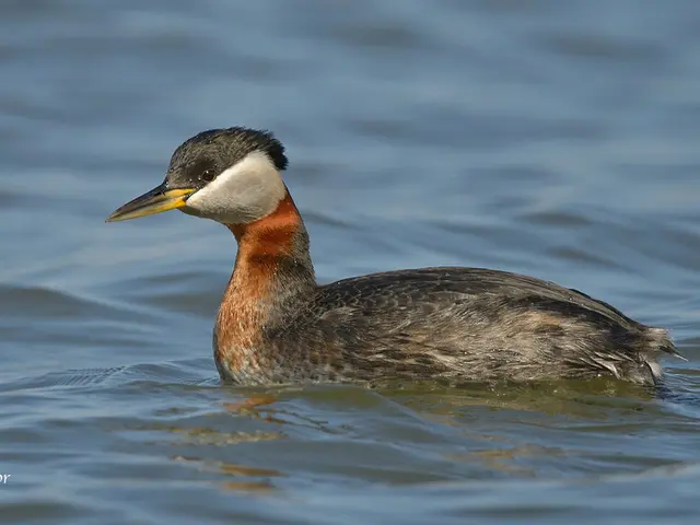 Red flags to watch for when considering a change in your current financial consultant