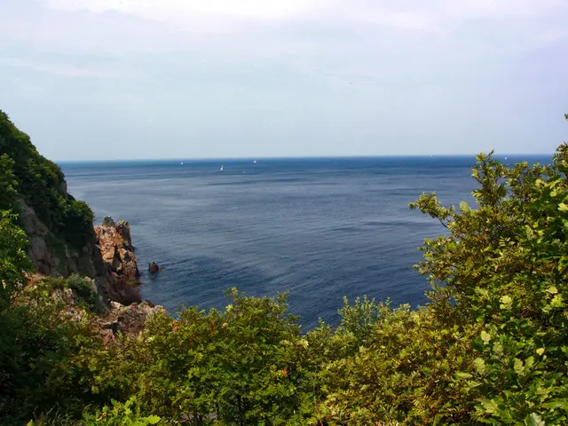 Adverse Climate Conditions Pose a Threat to Arboreal Life