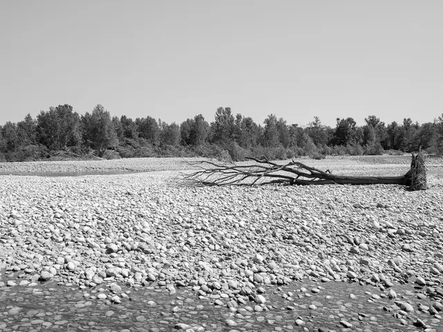 Exploring the Black Forest's Rock Formations During Autumn's Splendor