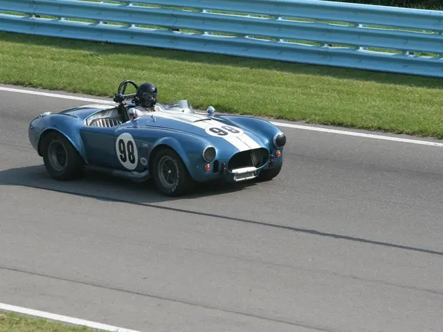 Individual, age 24, halts vehicle on a roadside