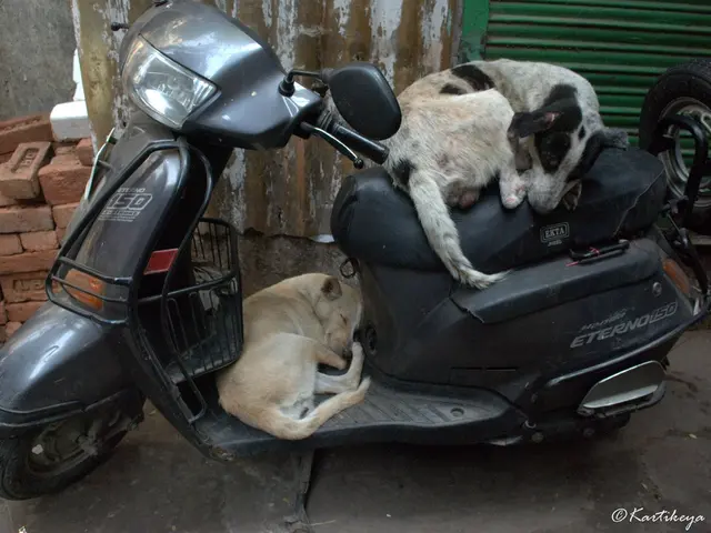 Scooter rider involved in accident with vehicle in Hagen