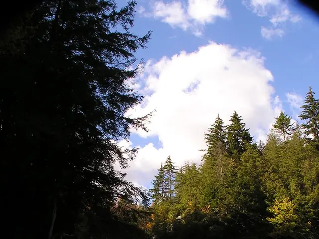 Preparations underway in Krasnodar for potential flooding due to rainfall