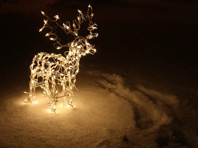 Unleashed Canine Spotted Near Polish PDWIL Location