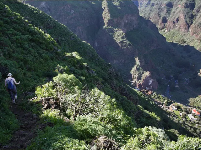 King Charles to Deliver Climate Warnings to Former President Trump, Anticipating Likely Disregard