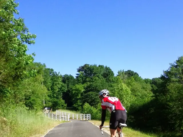 Struck cyclist discovered in Bach tragically passes away in hospital