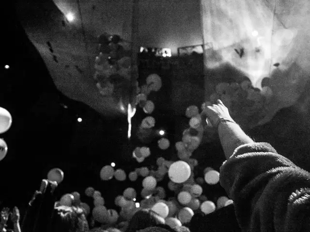 Hamburg Federal Police Receive Mysterious Balloon Mail from BPOL NRW; Is the "Fifth Season" Some...