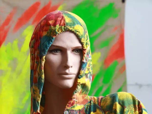 Clothing Item: Hoodie from Gallery Department Store