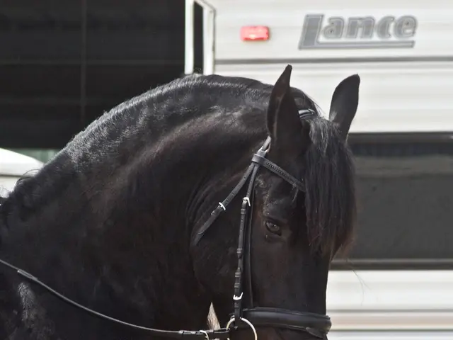 Trunk Contains a Live Horse!