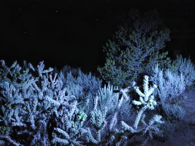 Persian Astronomy: An In-depth Guide to Royal Stars - Exploring History, Mythology, and Definitions