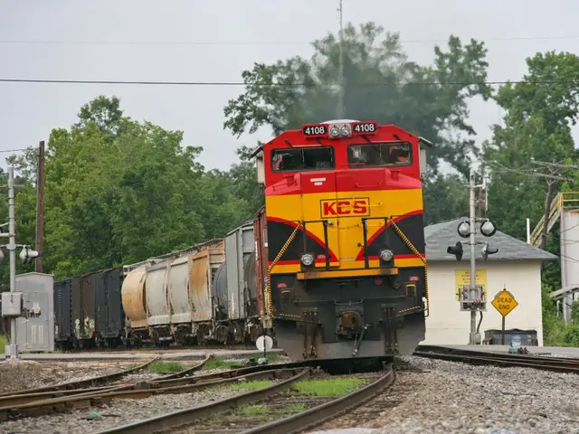 Obstacle on Semmelweißstraße: A tree veers onto the sidewalk