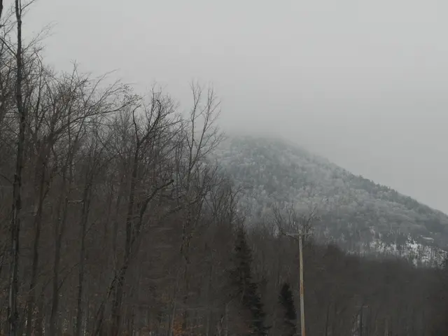Alert Issued for Strong Winds in Saxony