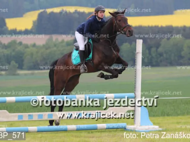 Is Another Future Beezie in Sight?