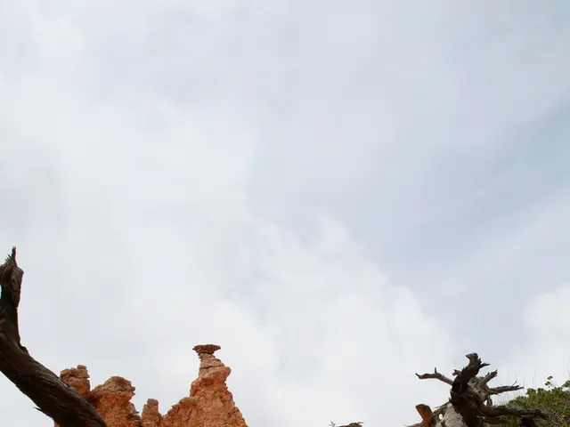 Current weather prediction for Ushuaia on September 18th, 2025