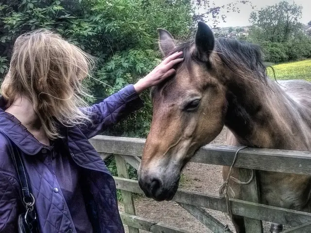 Fashion is escalating in the heart of Paris.
