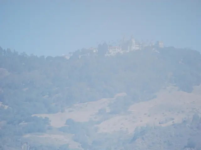 Three horses apprehended on Mount San Giacomo