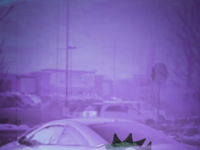 Unveiled Dispute: Whether La Pascualita Is a Realistic Doll or Real Mummy Remains Contentious