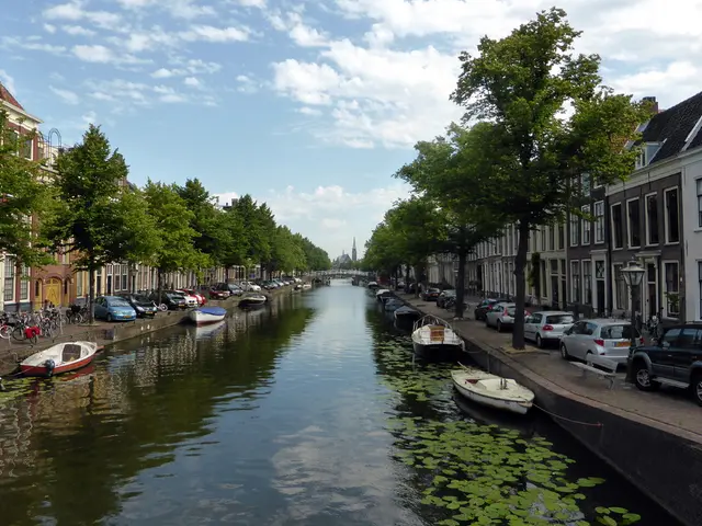 Surfers and Kayakers Comment on Brennan's Latest Transformation