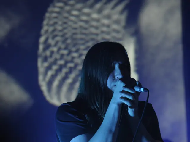 Sarah McLachlan's Journey of Losing and Reclaiming Her Distinctive Vocal Tone