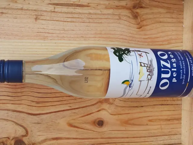 Italy's proposed "Meloni model" of stringent fiscal policy, endorsed by the French right and far...