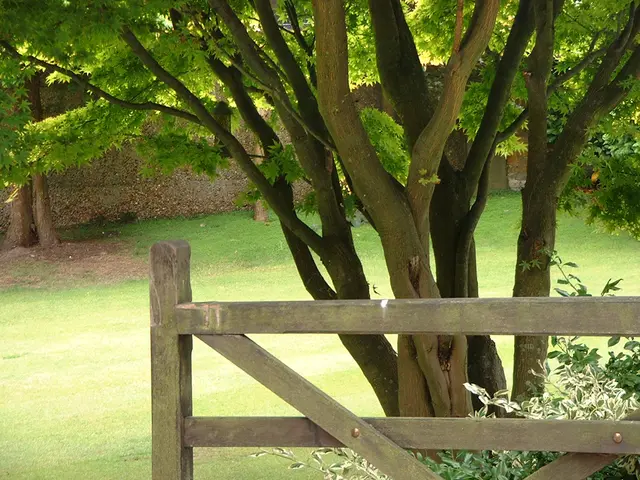 The potential territory being considered for the grey belt designation