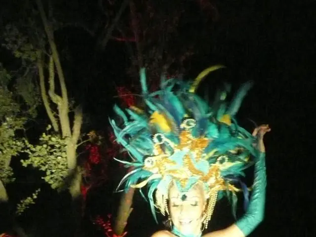 Music icon Madonna set to unveil a new collection of tracks in the upcoming year