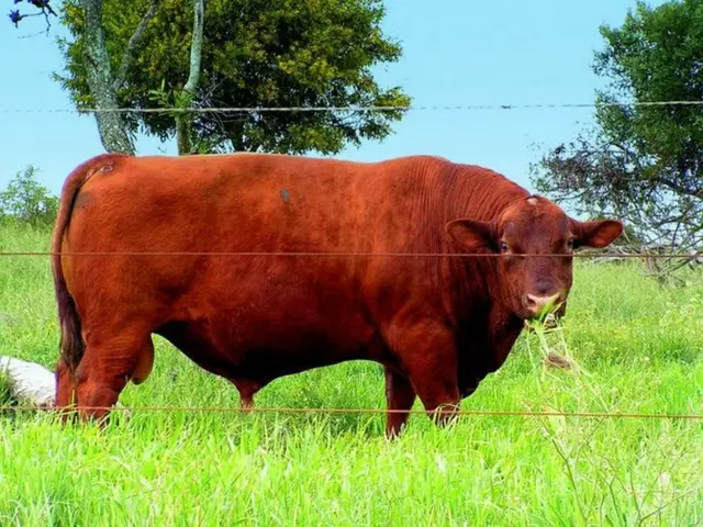 A Belarusian visitor made fun of a deer by playing a horn and sipping through a straw at a...