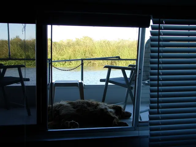 Dog hunting and consumption of canine meat, specifically quails, set to resume