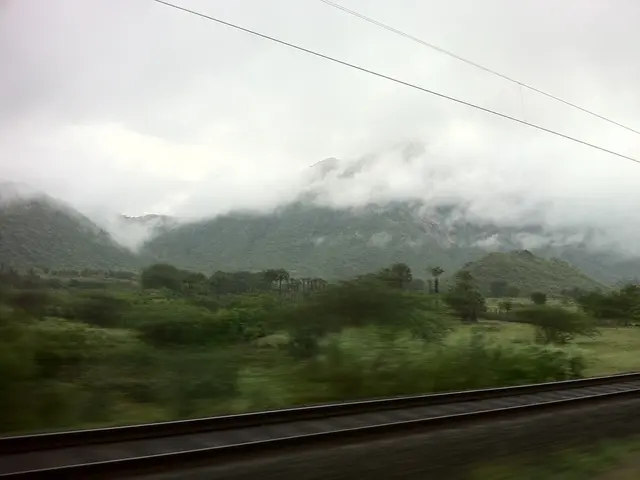 Obstacle Created: Tree Collapses on Sidewalk at Semmelweißstraße