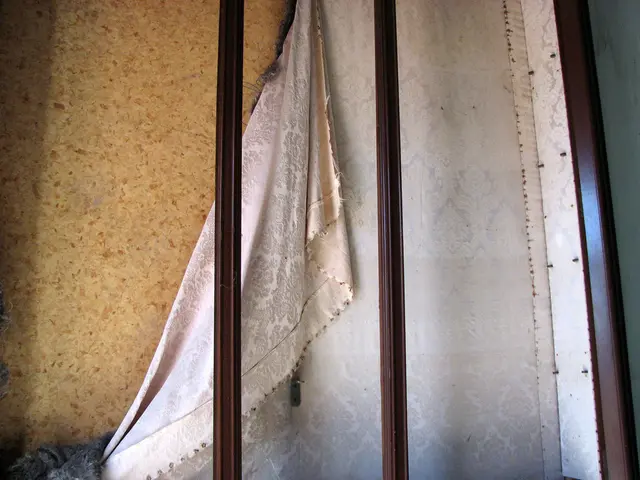 Criminal law modification urged by The Alliance against Antisemitism