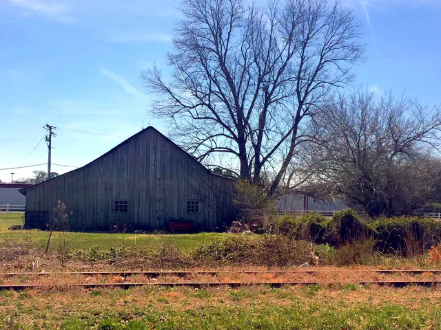 "Sean aspires to become a champion, and another aspiring figure known as 'Bowen' is swiftly gaining...