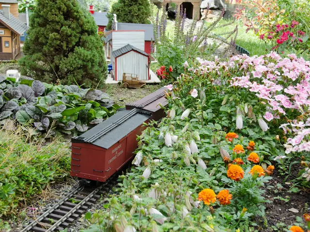 Race selections for a £50,000 pool at Ayr: Expert Graeme Rodway shares his picks