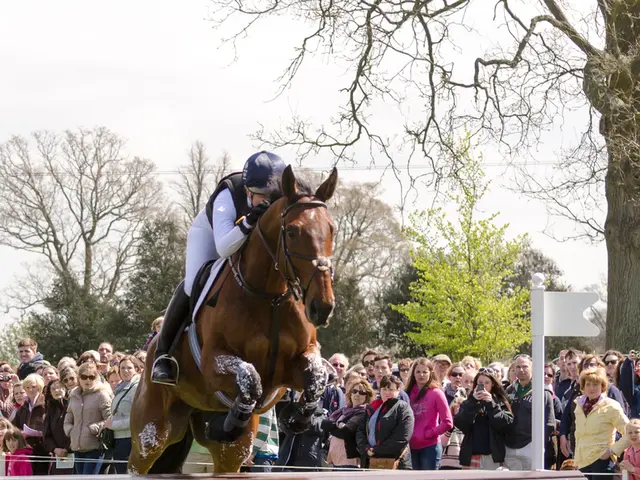 Will the jockey currently stationed with James Owen be able to continue his comeback ride at Newton...