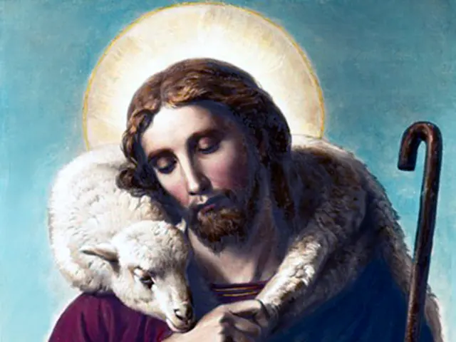 Cancellation or reduction of Alpine livestock transfers in Valais and Vaud