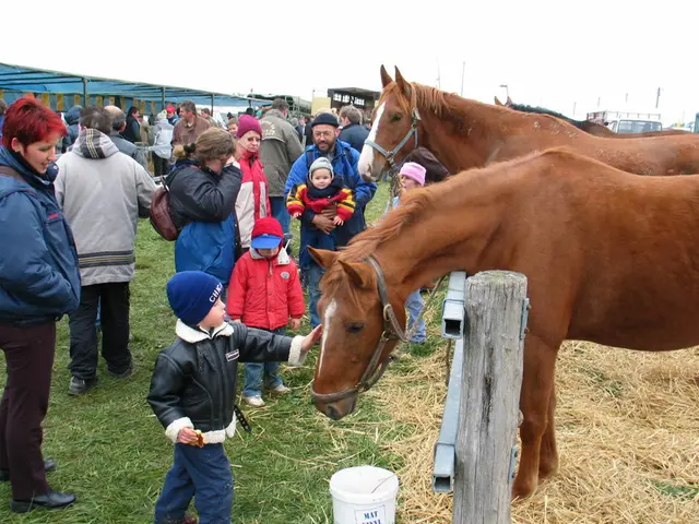 Dogs Cause Panic in Horses, According to Alvesen