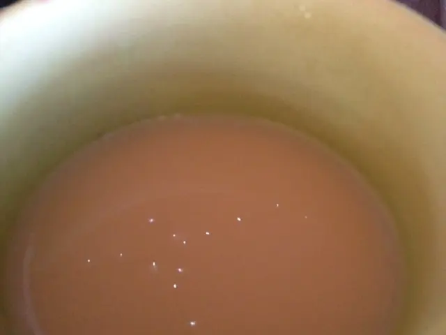 Fresh donation from the Harburger Hallencup in 2015: Euro 2015 given to DRK hospice