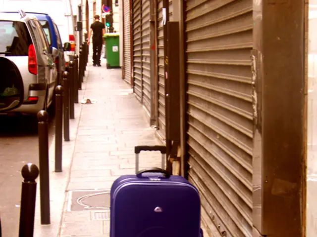 DOJ Face Criticism from Warren over Binance Settlement and Presumed Trump Connections in fresh...