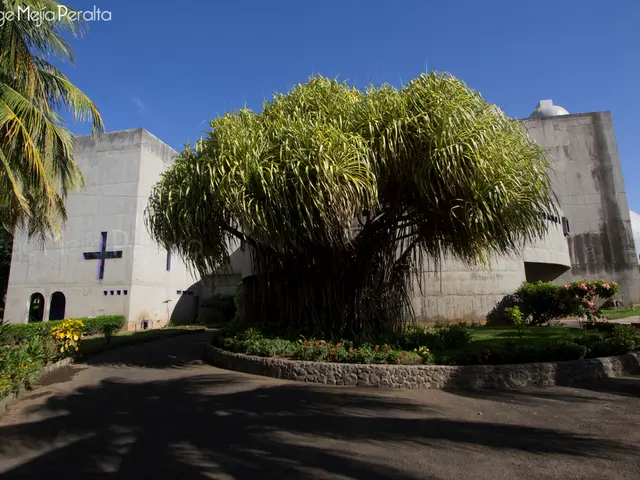 White House's decision to scrap 'Roadless Rule' criticized by Patagonia; organization calls upon...